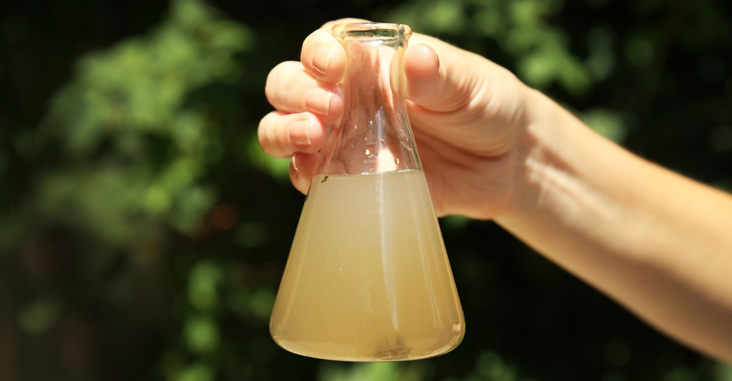 The Importance of QA/QC in Water Testing Laboratories